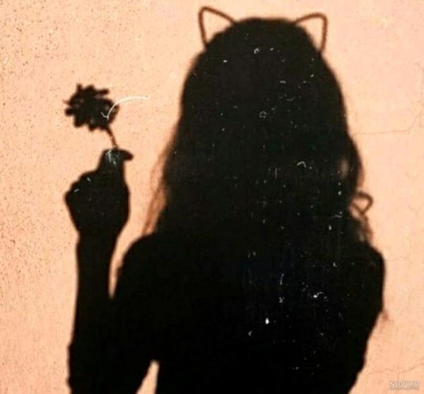  عکس پروفایل سایه دختر