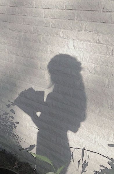  عکس فیک سایه دختر