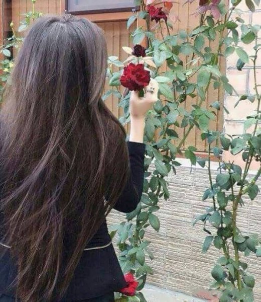  عکس پروفایل خاص از پشت سر