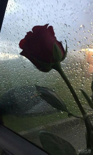  عکس باران روی شیشه ماشین شب