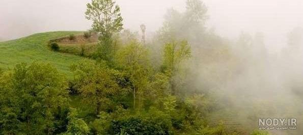  عکس ماشین در جاده مه‌آلود