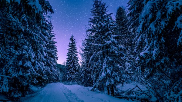  عکس از طبیعت برای پروفایل