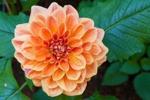  عکس قطره آب