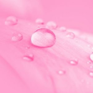  عکس قطره آب