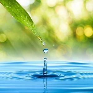  عکس قطره آب