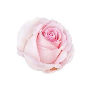  عکس قطره آب