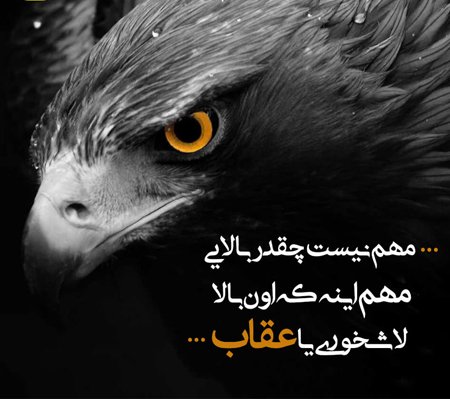  عکس نوشته پروفایل تیکه دار جدید