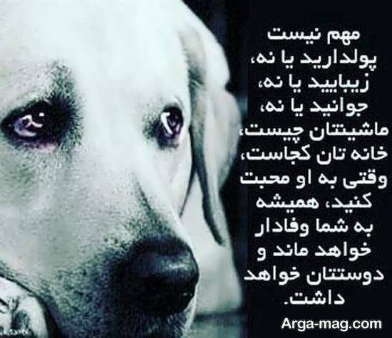  عکس نوشته معرفت و فاداری برای پروفایل