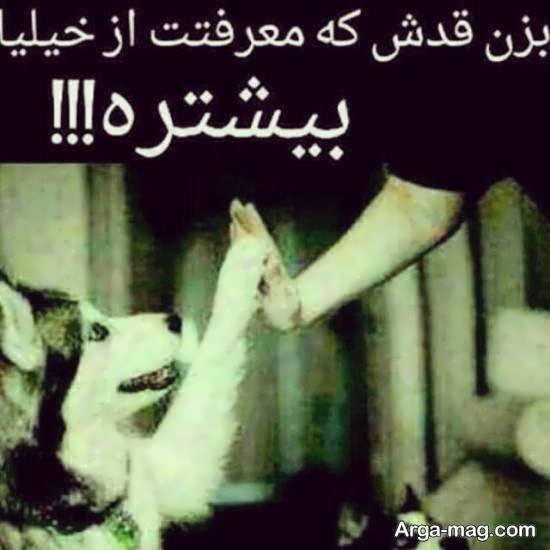  عکس نوشته معرفت و فاداری برای پروفایل