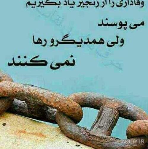 پروفایل وفاداری