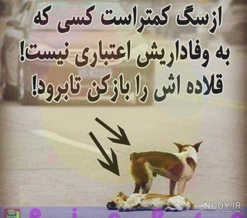  پروفایل وفاداری