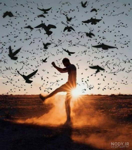  پروفایل هنری جدید