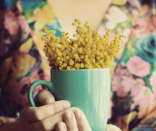  پروفایل هنری جدید