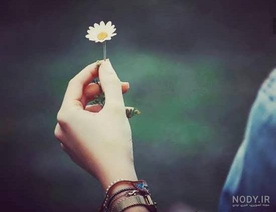  پروفایل هنری جدید