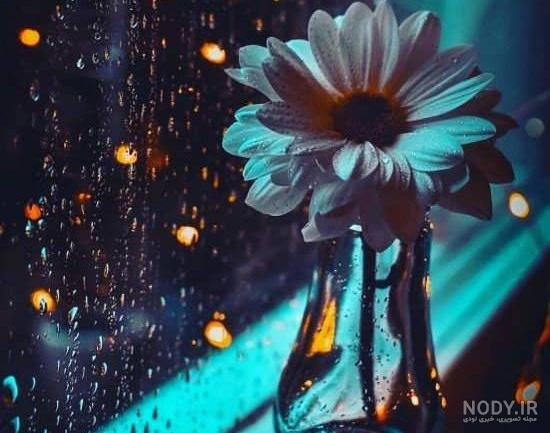  پروفایل هنری جدید