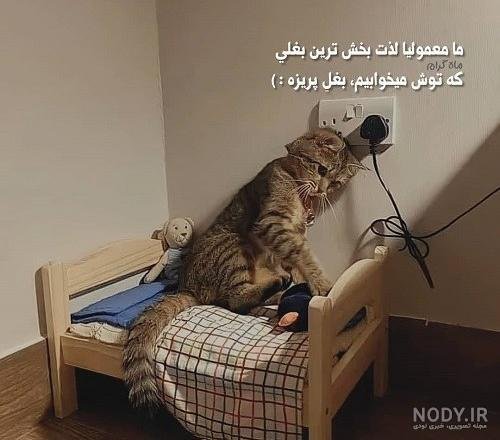  عکس پروفایل سینگلی دختر