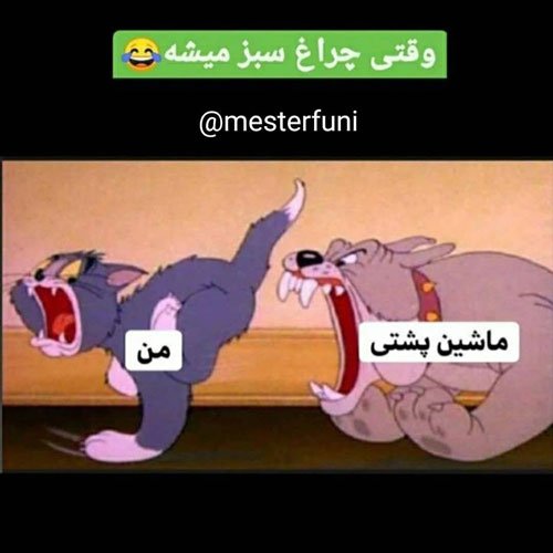  عکس نوشته های خنده دار برای استوری