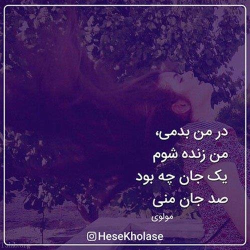  پروفایل اشعار مولانا در مورد زندگی