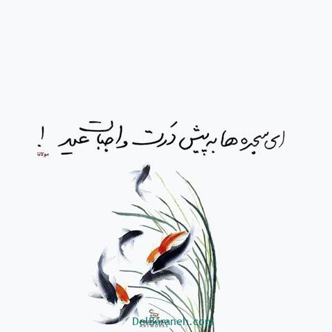  عکس پروفایل شعر معنادار مولانا