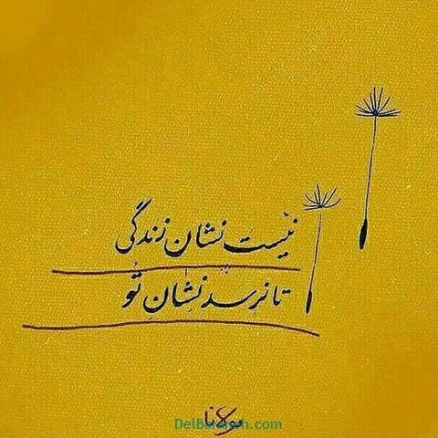  عکس پروفایل شعر معنادار مولانا