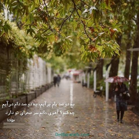 عکس پروفایل شعر معنادار مولانا