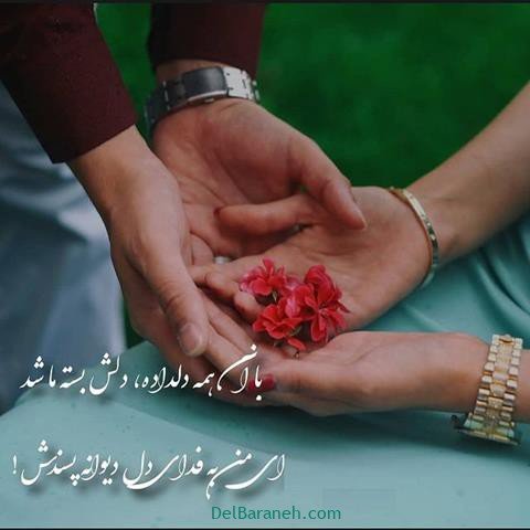  عس نوشته اشعار مولانا با کیفیت بالا