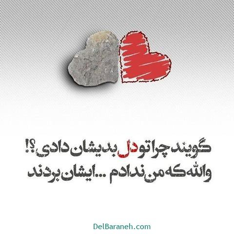 عس نوشته اشعار مولانا با کیفیت بالا