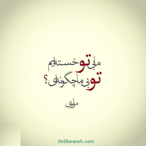  عس نوشته اشعار مولانا با کیفیت بالا