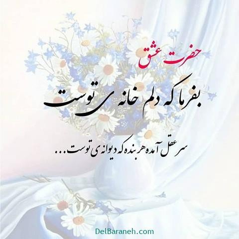  عس نوشته اشعار مولانا با کیفیت بالا