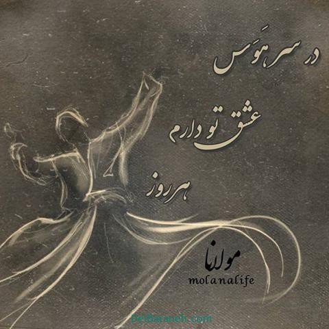  عس نوشته اشعار مولانا با کیفیت بالا