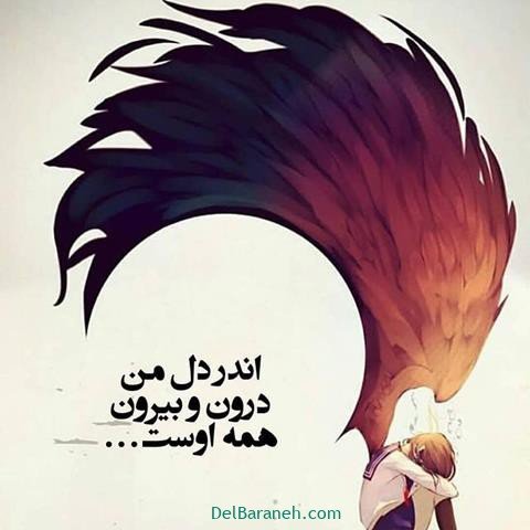  عس نوشته اشعار مولانا با کیفیت بالا