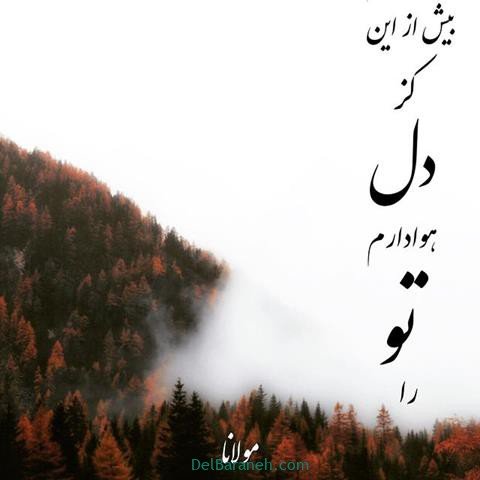  عس نوشته اشعار مولانا با کیفیت بالا
