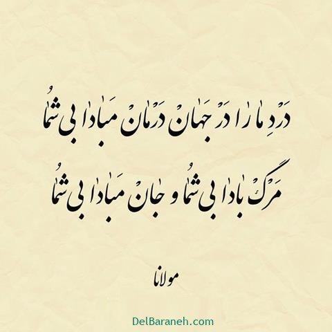  عس نوشته اشعار مولانا با کیفیت بالا