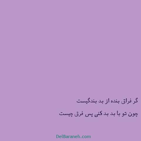  عس نوشته اشعار مولانا با کیفیت بالا