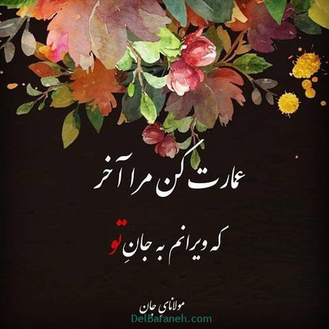  عس نوشته اشعار مولانا با کیفیت بالا