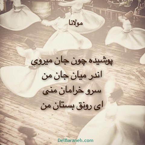  عس نوشته اشعار مولانا با کیفیت بالا