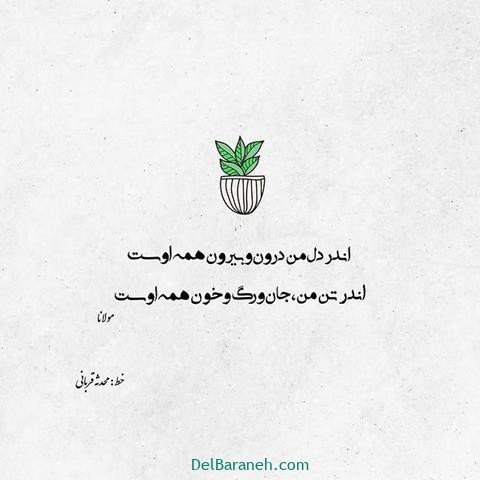  عس نوشته اشعار مولانا با کیفیت بالا