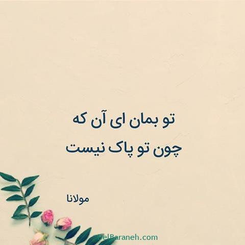  عس نوشته اشعار مولانا با کیفیت بالا