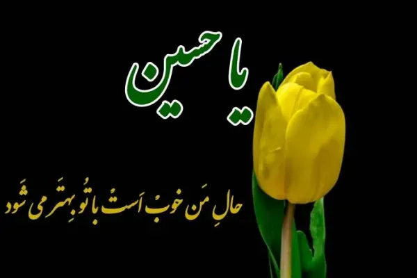  عکس زیبای پروفایل برای محرم