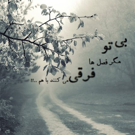  عکس نوشته در مورد باران از مولانا
