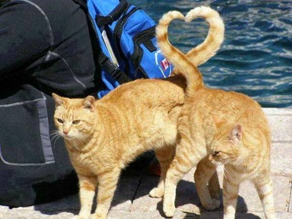  عکس‌های زیبا و دیدنی جدید 1405