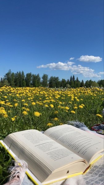  بک گراند پینترستی