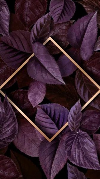  عکس پینترستی برای بک گراند