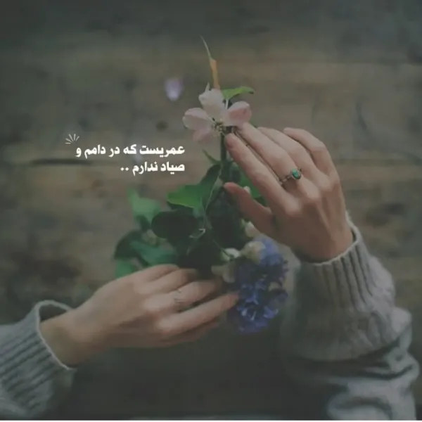  سکسی ترین دختر معرفی مدل‌ها و سلبریتی‌های مشهور