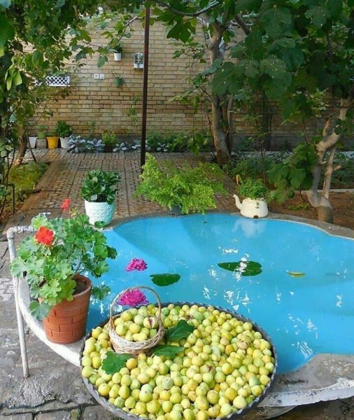  عکس حیاط قدیمی با حوض