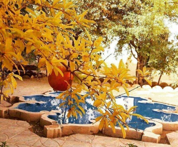  عکس حیاط قدیمی با حوض