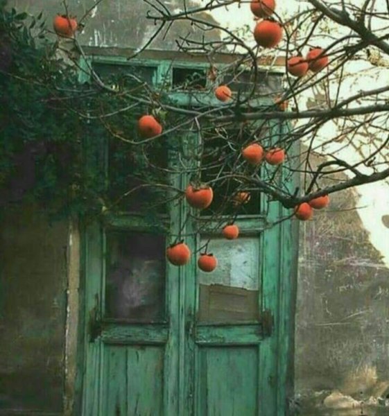  عکس حیاط قدیمی با حوض