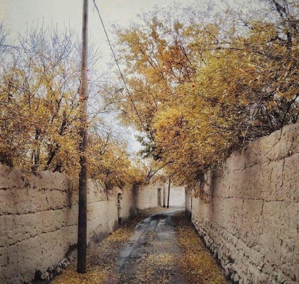  عکس حیاط قدیمی با حوض
