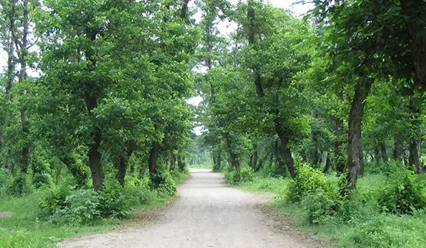  عکس ساحل زیبا کنار