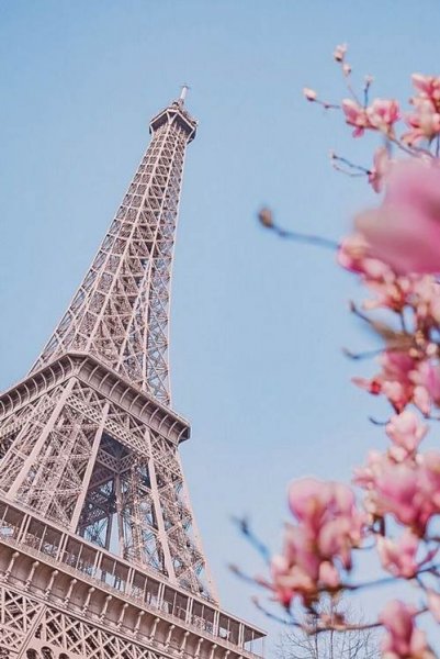  عکس پاریس برج ایفل